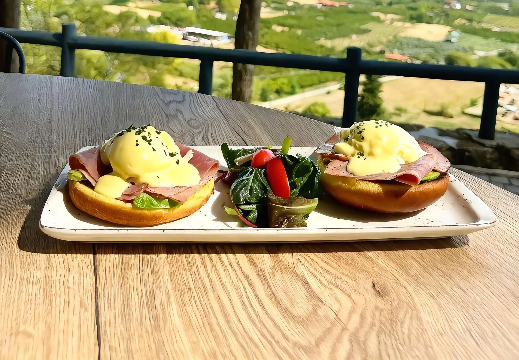 Benedictzambon